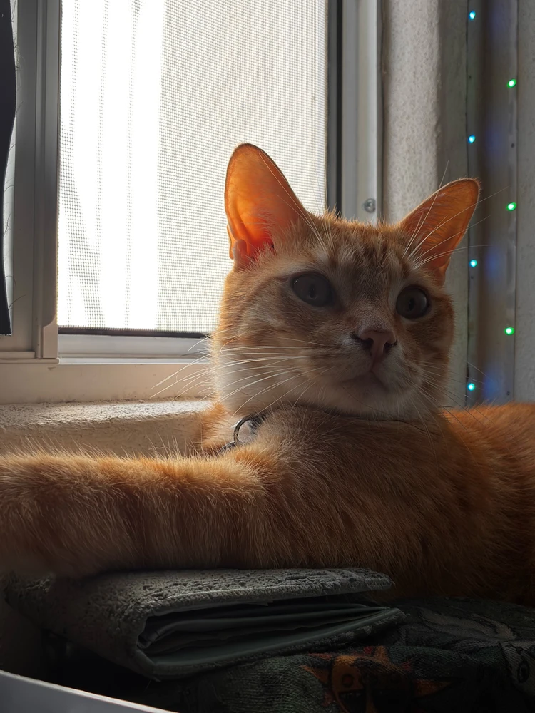 Image uploaded by Jupi