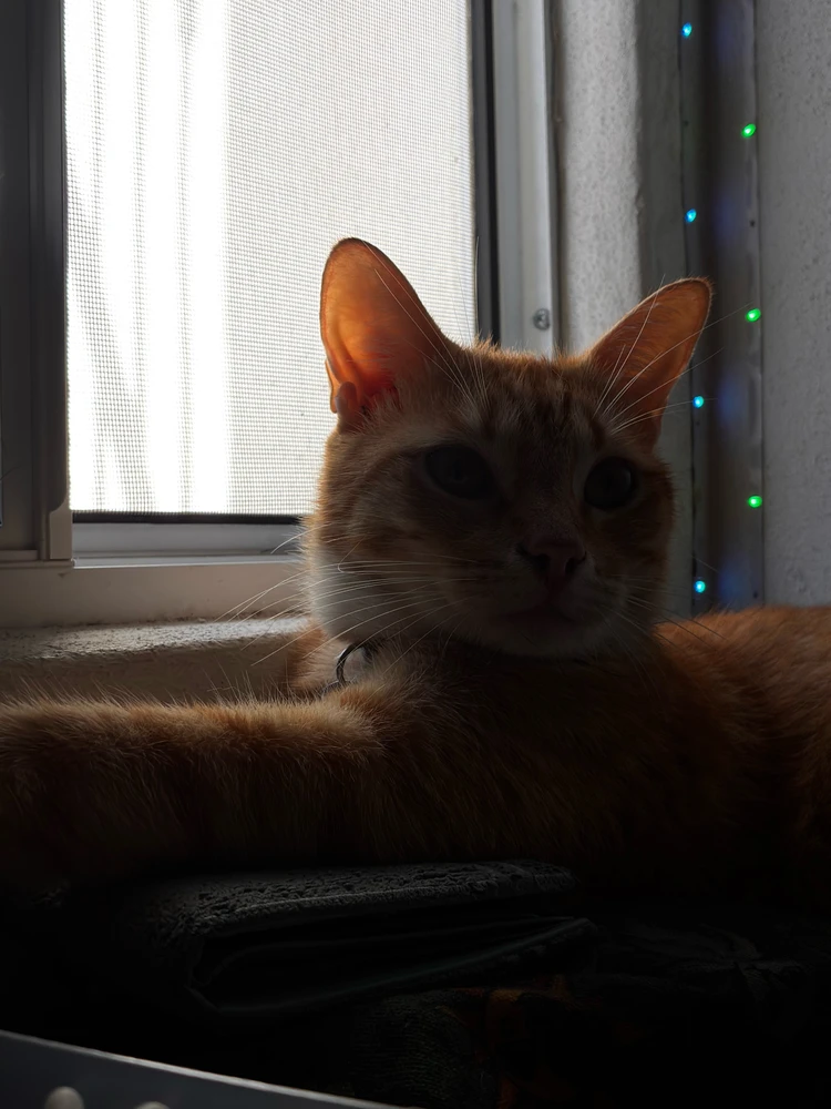 Image uploaded by Jupi