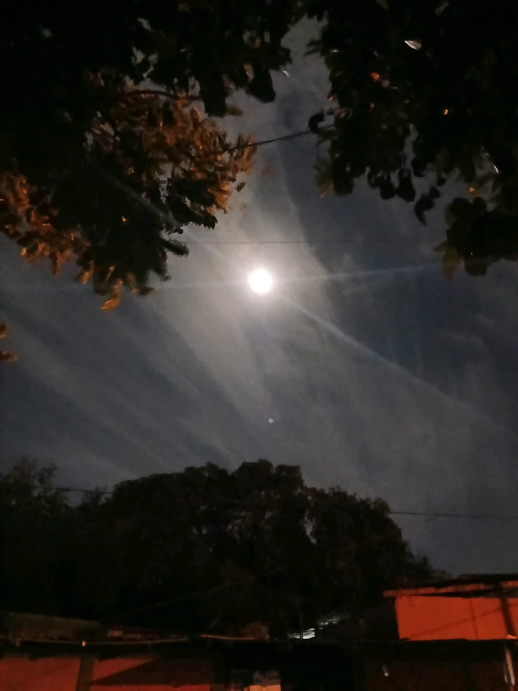 GIF subido por Miguel
