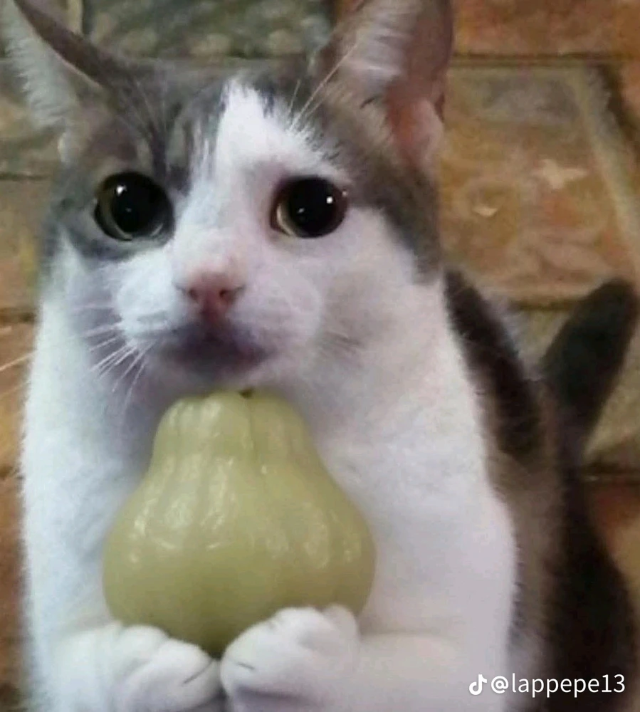 GIF uploaded by Darkness