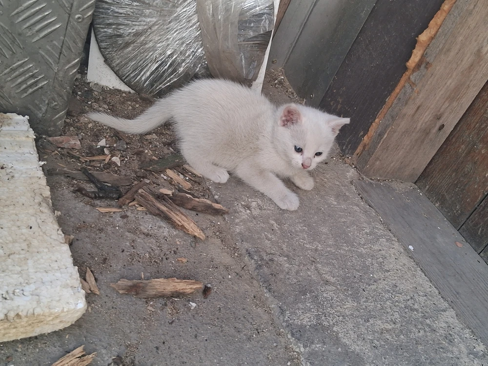 Image uploaded by Milan