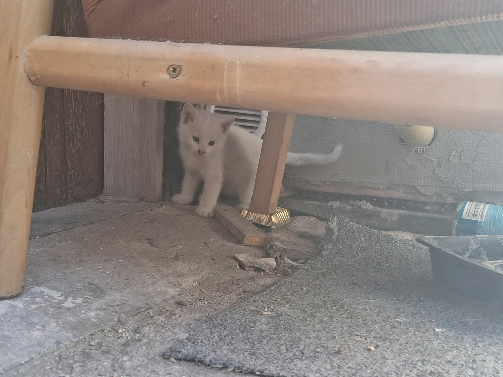 Image uploaded by Milan