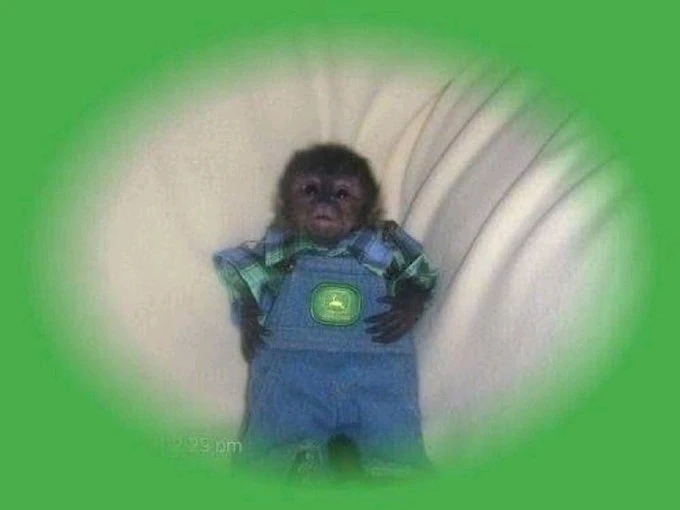 GIF subido por Paola