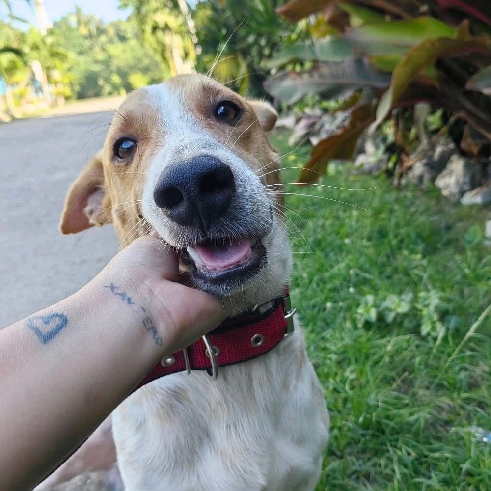 GIF uploaded by Grace