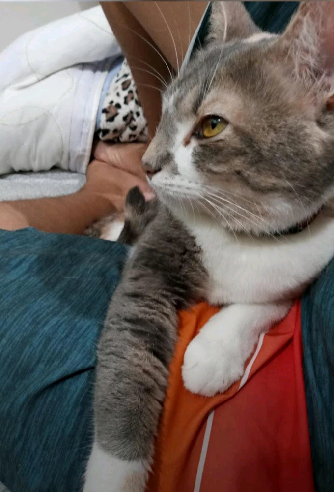 GIF enviado por Juliana