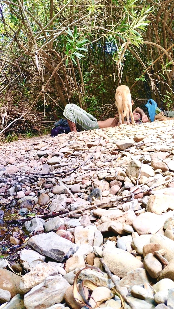 GIF uploaded by Rodrigo