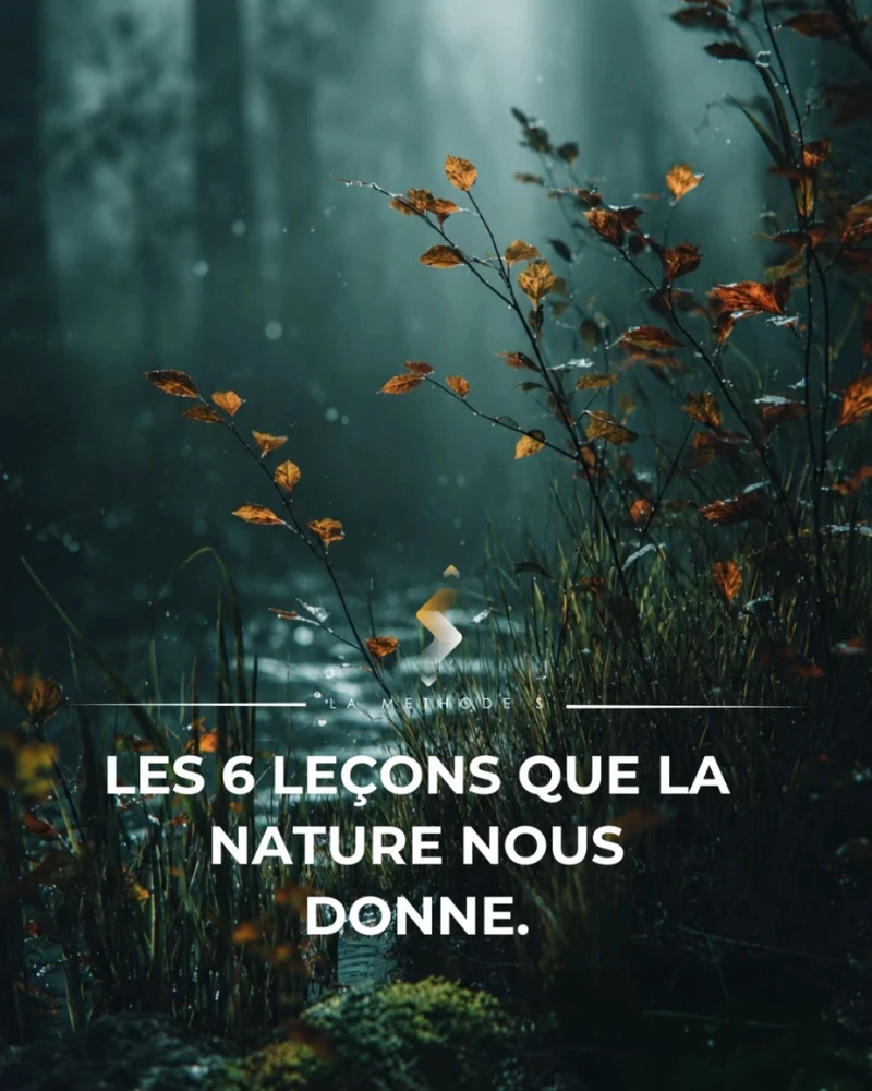 Image ajoutée par Saffiya