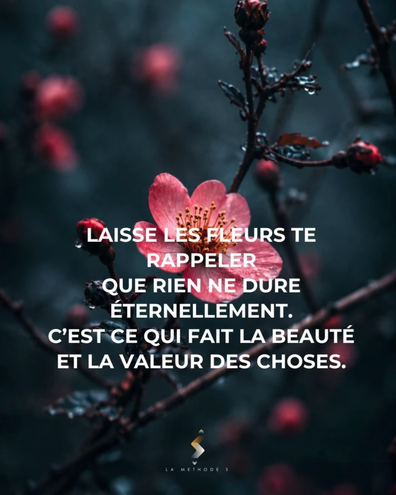 Image ajoutée par Saffiya