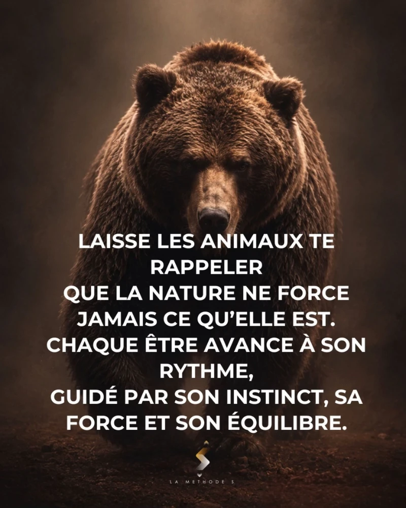 Image ajoutée par Saffiya
