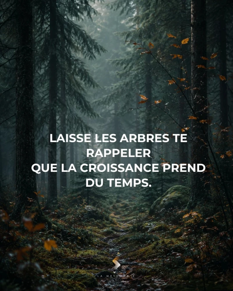 Image ajoutée par Saffiya