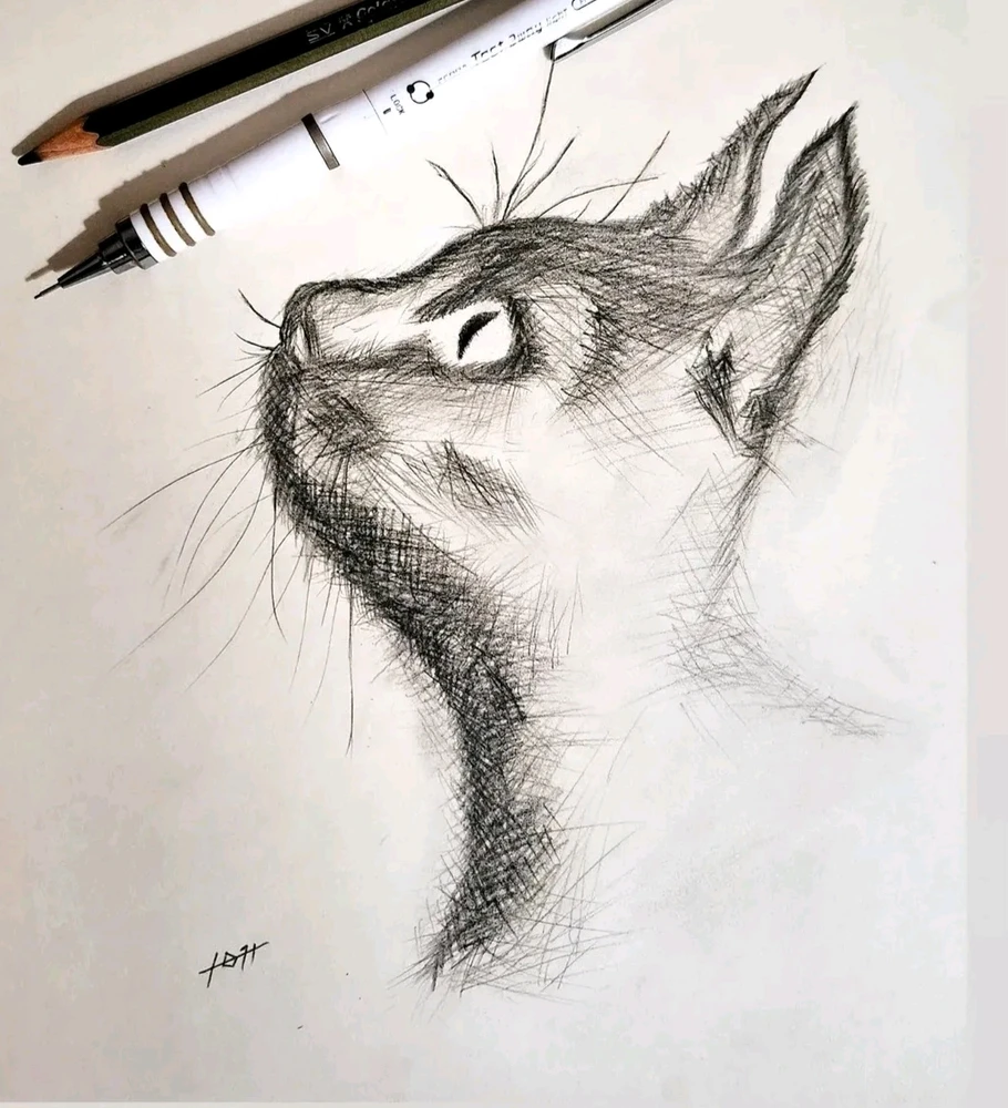 GIF uploaded by Alessio