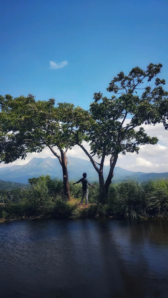 Alvin അപ്ലോഡ് ചെയ്ത GIF
