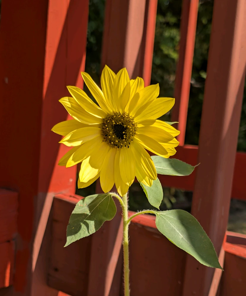 GIF uploaded by Jules