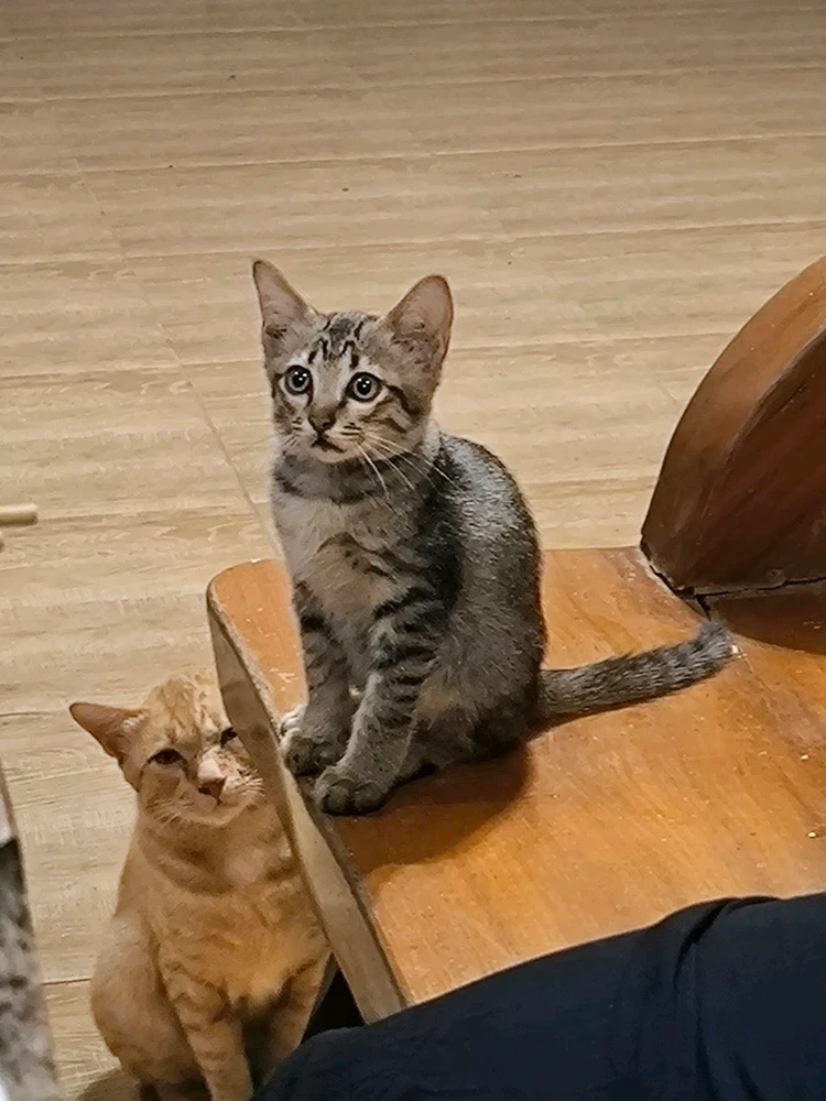 GIF uploaded by Guy