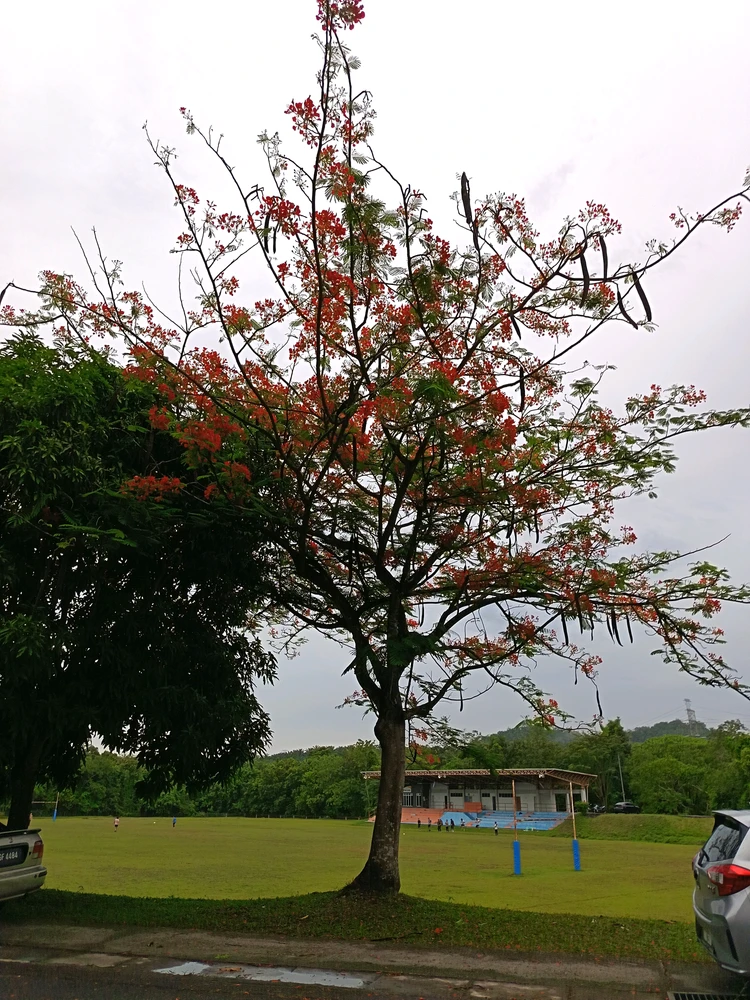 Image uploaded by Magdalina