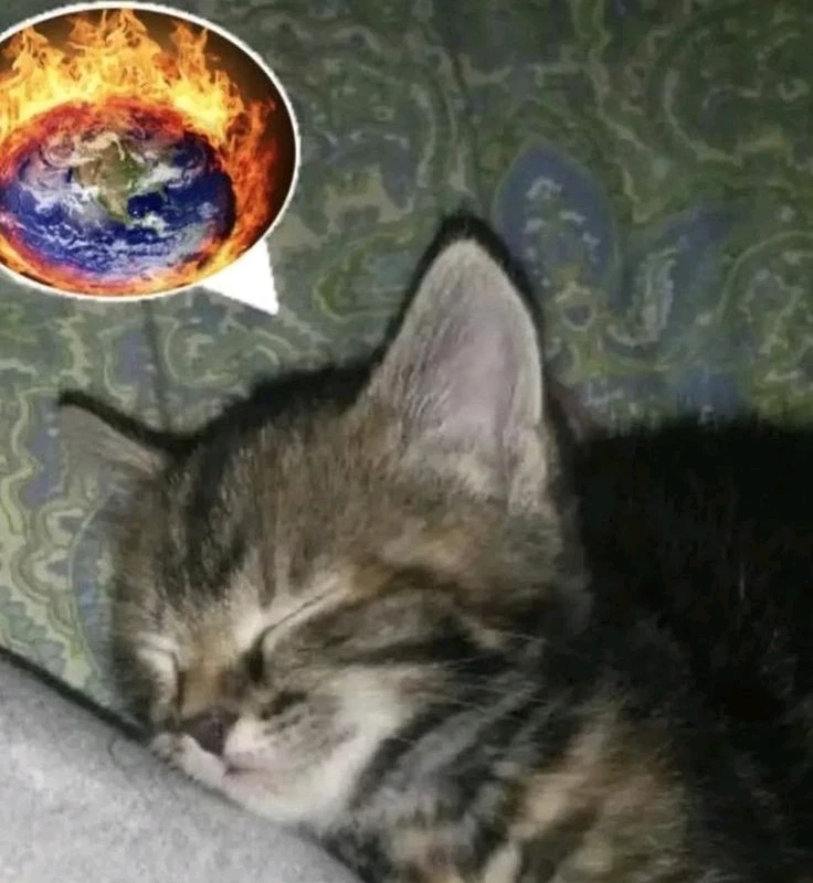 GIF uploaded by Reiya