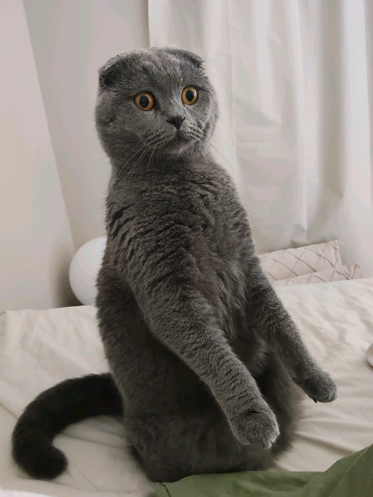 GIF uploaded by Sofia