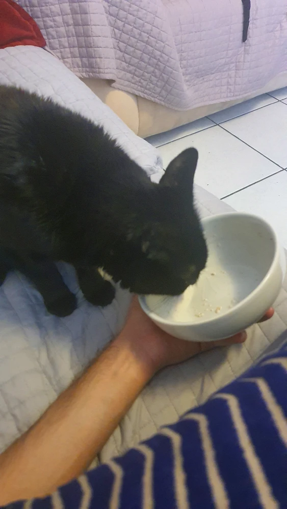 GIF uploaded by Oscar