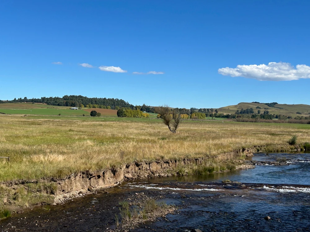 Image uploaded by Pious Sutherland