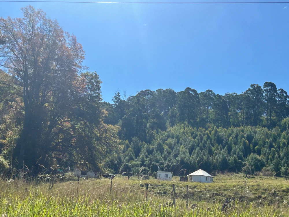 Image uploaded by Pious Sutherland