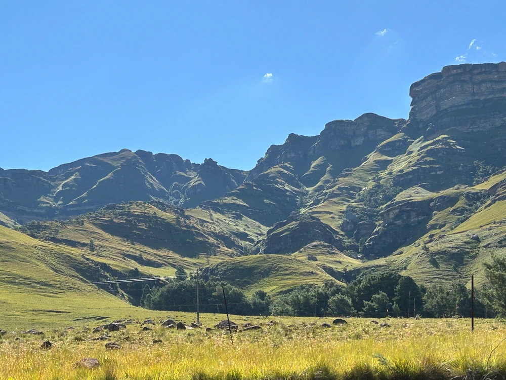 Image uploaded by Pious Sutherland
