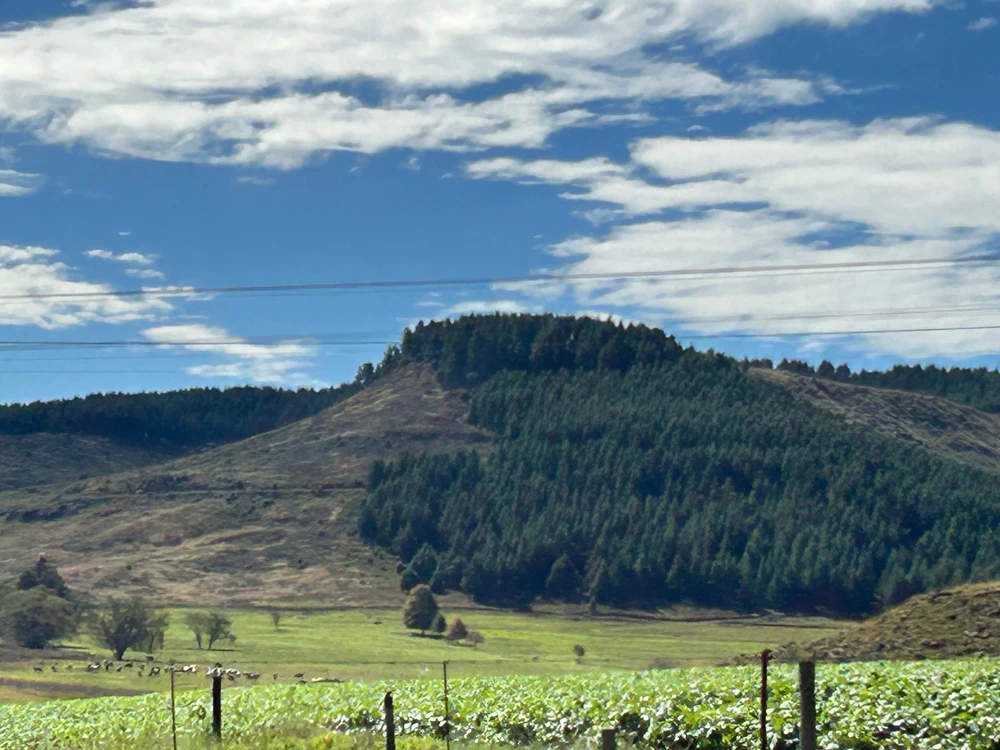 Image uploaded by Pious Sutherland