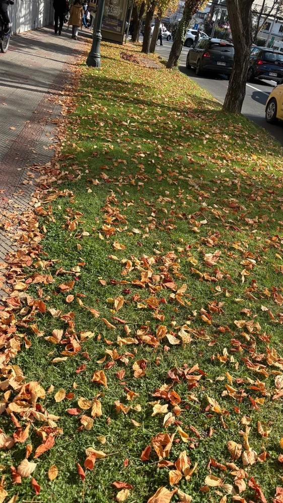 GIF subido por Johann