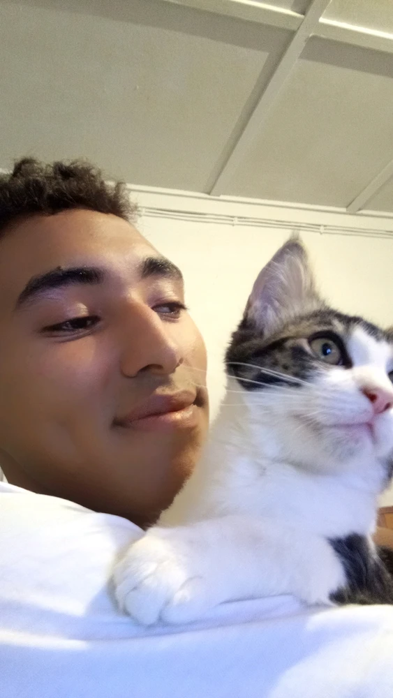 GIF uploaded by Jadded