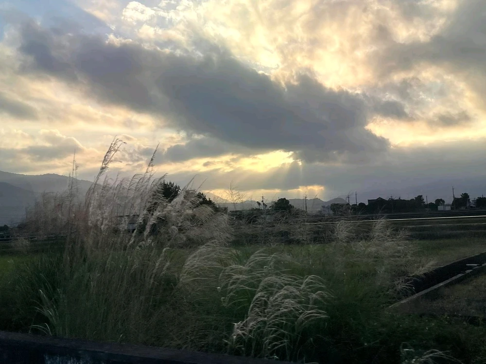 GIF uploaded by Zy