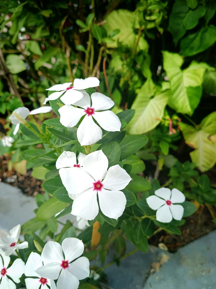 GIF uploaded by Ayl