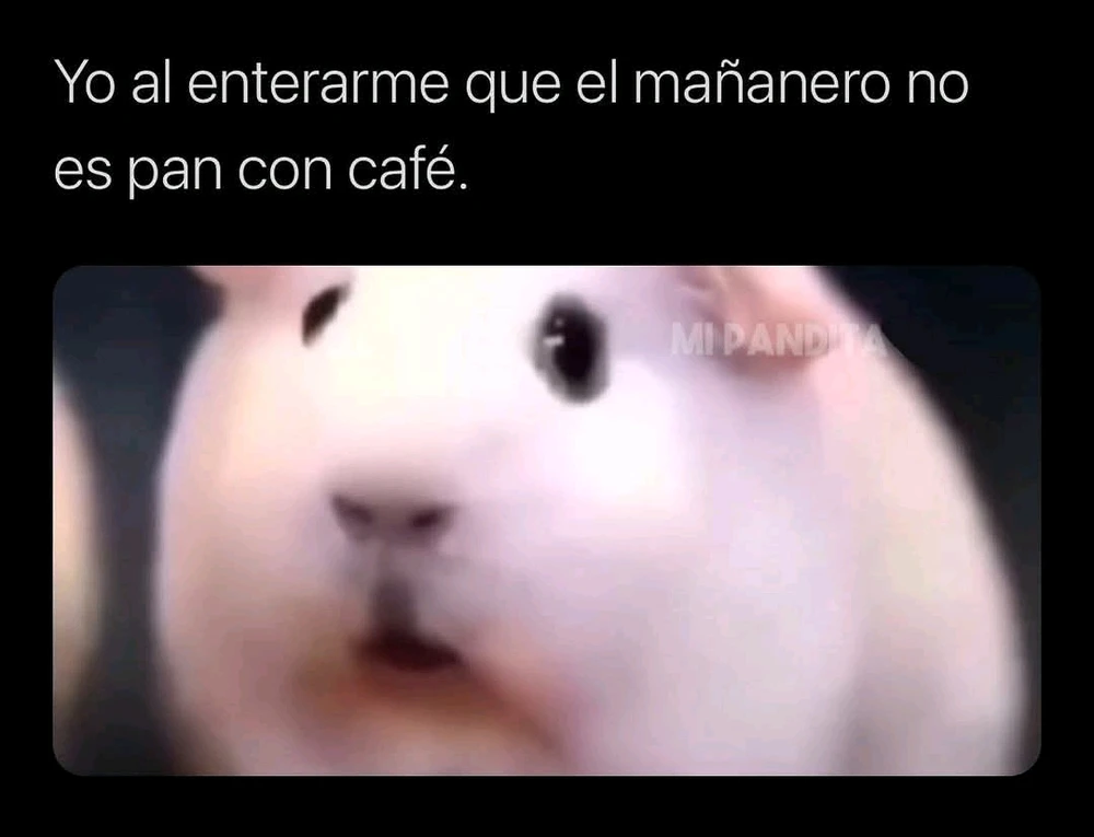 GIF subido por William