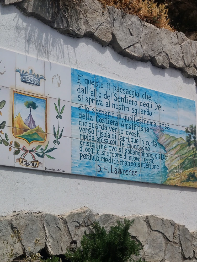 Image uploaded by Dino