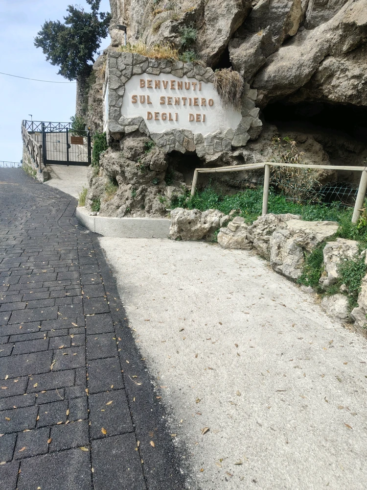 Image uploaded by Dino