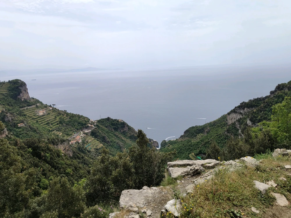 Image uploaded by Dino