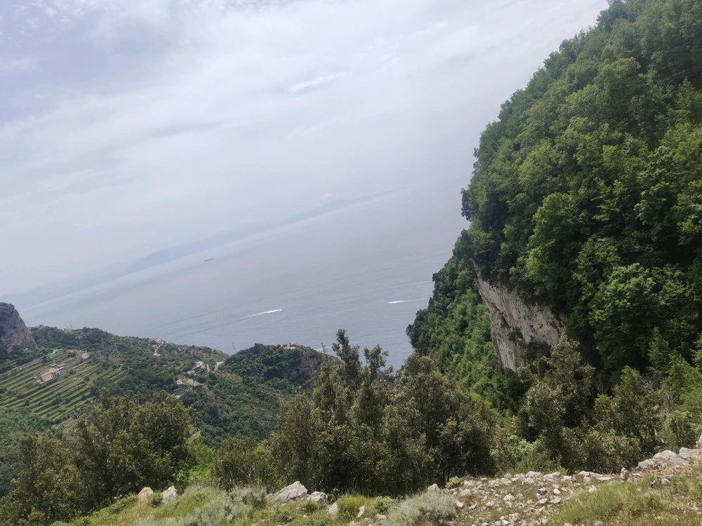 Image uploaded by Dino