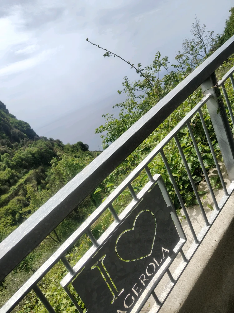 Image uploaded by Dino