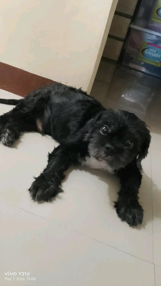 GIF uploaded by Nayla