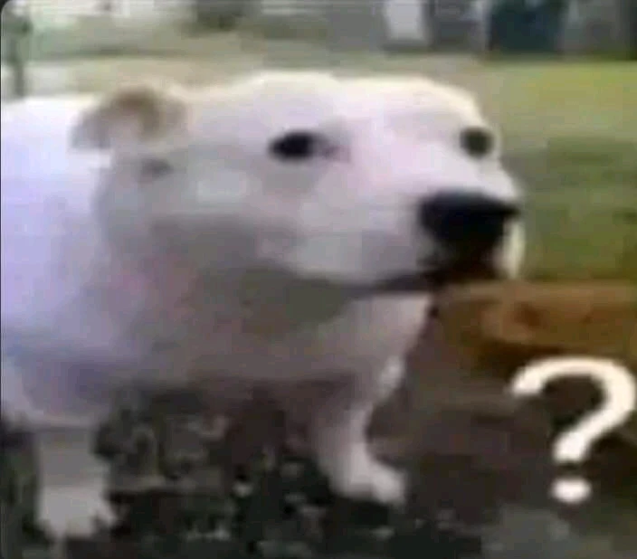 Daniel上传的GIF