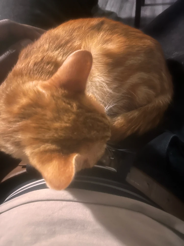 GIF uploaded by Taku
