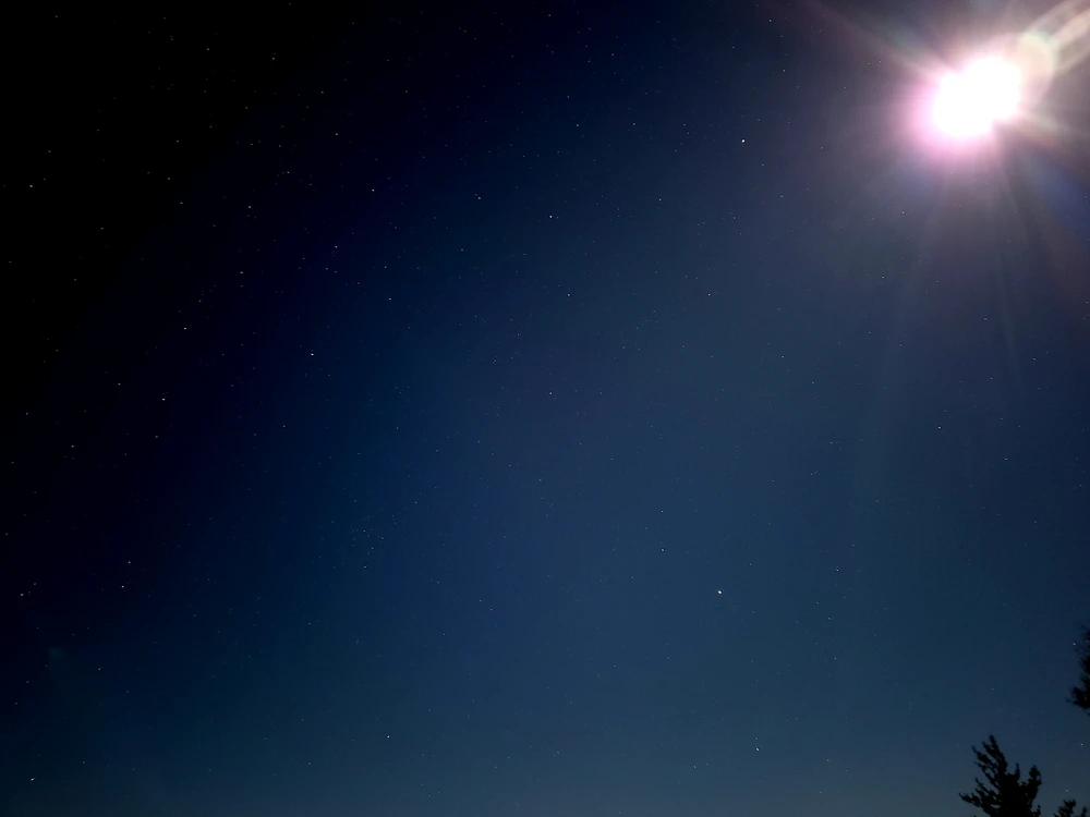 Enfoque de noche