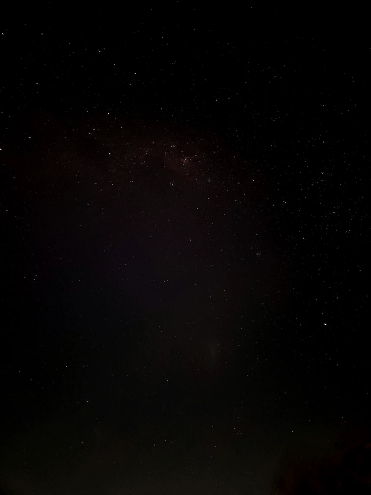 Noche