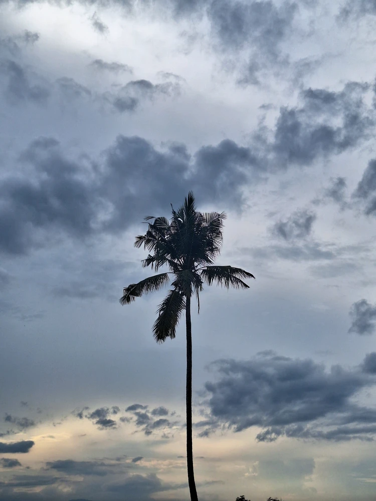 GIF uploaded by Aidil