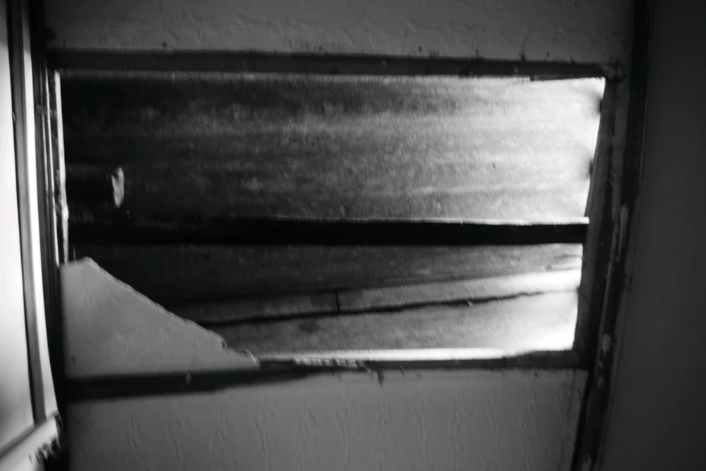 GIF uploaded by S