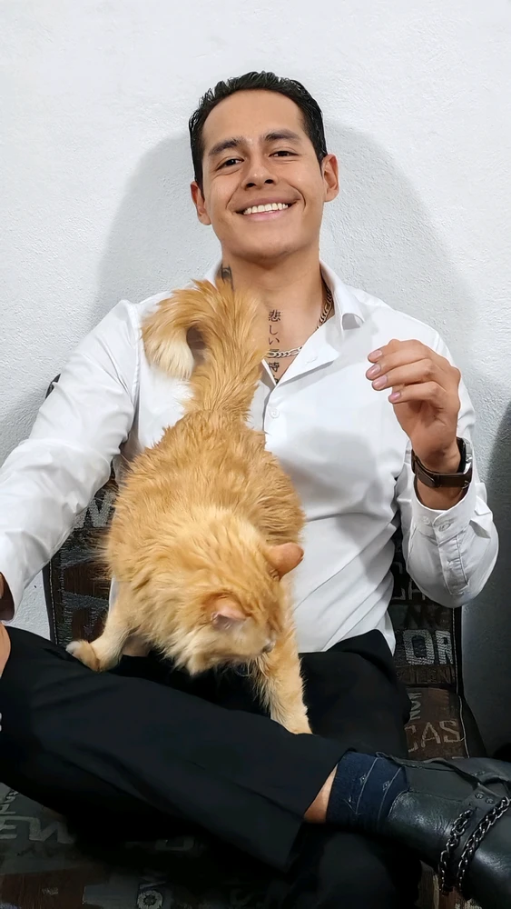 GIF subido por Celis