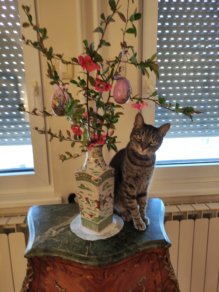 GIF uploaded by Nenad