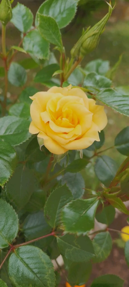 GIF uploaded by Kas