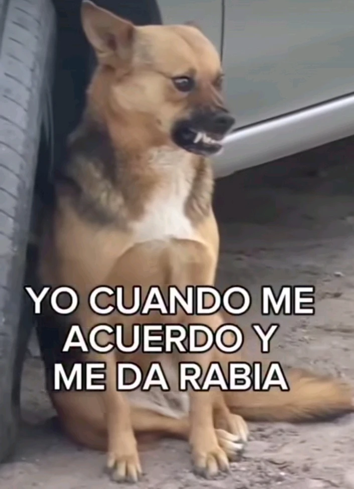 Imagen subida por Safary zahira
