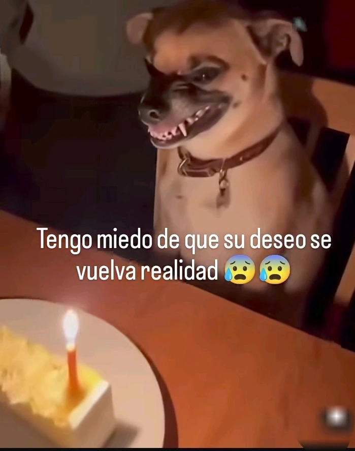 Imagen subida por Safary zahira