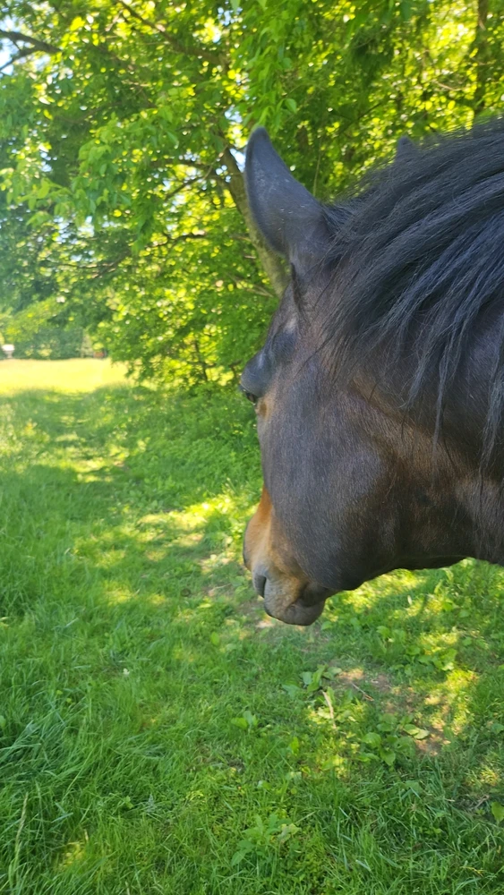GIF uploaded by Erin