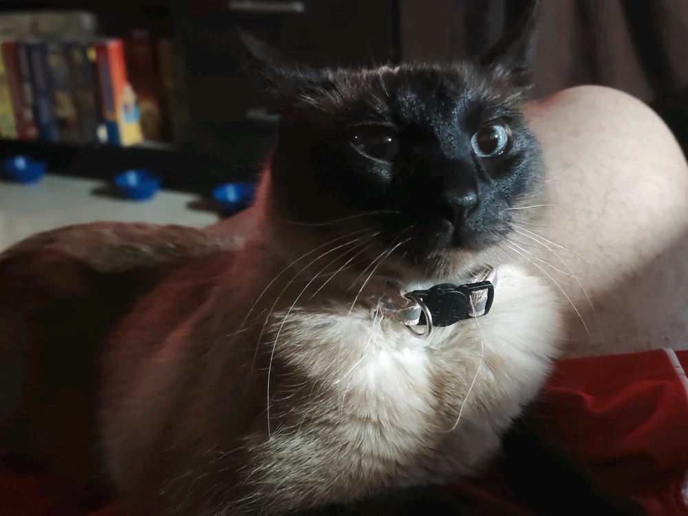 GIF uploaded by Angel